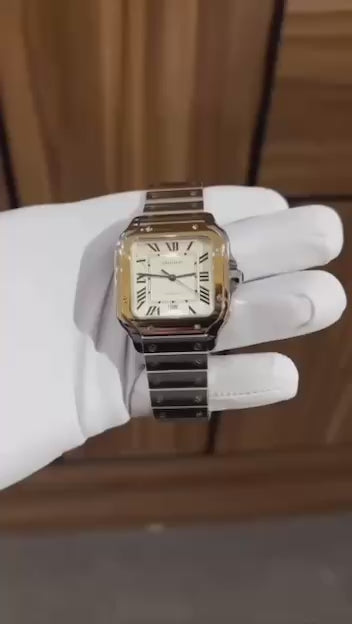 Cartier skeleton dore et argente